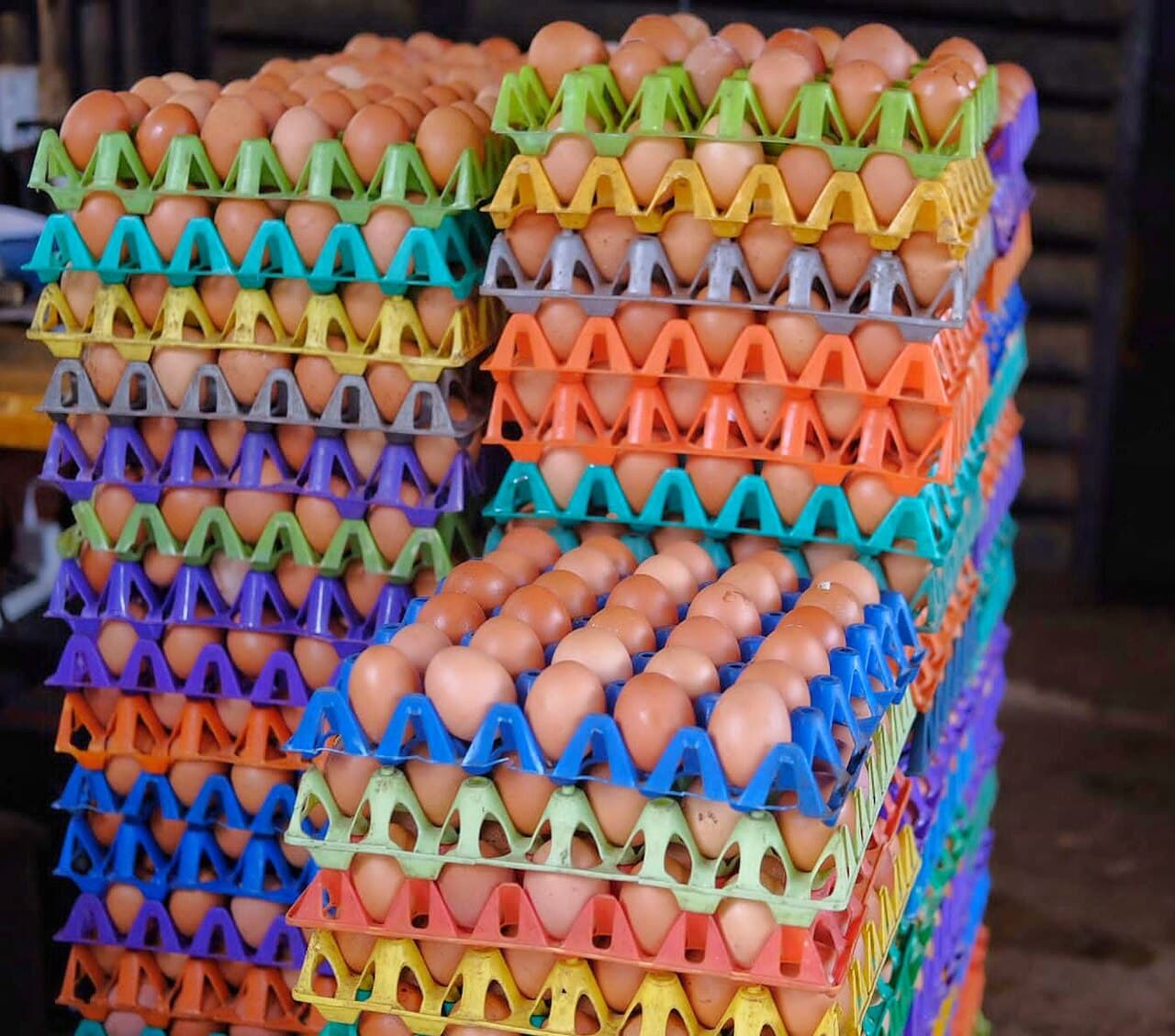 Farm eggs — pallet of 30 crates