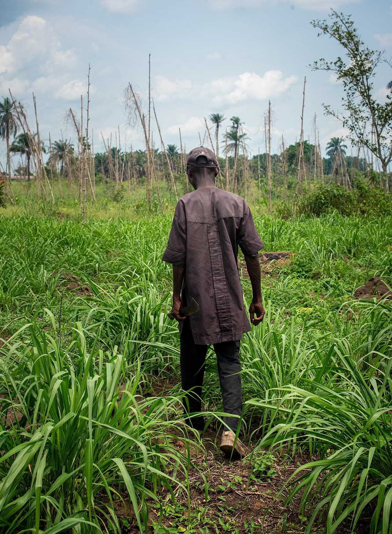 Farmer Walking Through Farmland.jpg