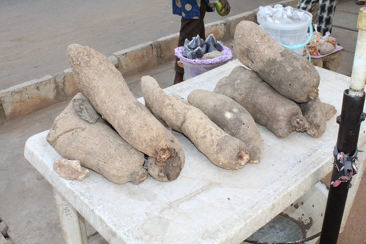 Yam Tubers stacked on a plastic table 01.jpg